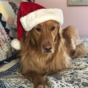 RETRIEVE great deals!!